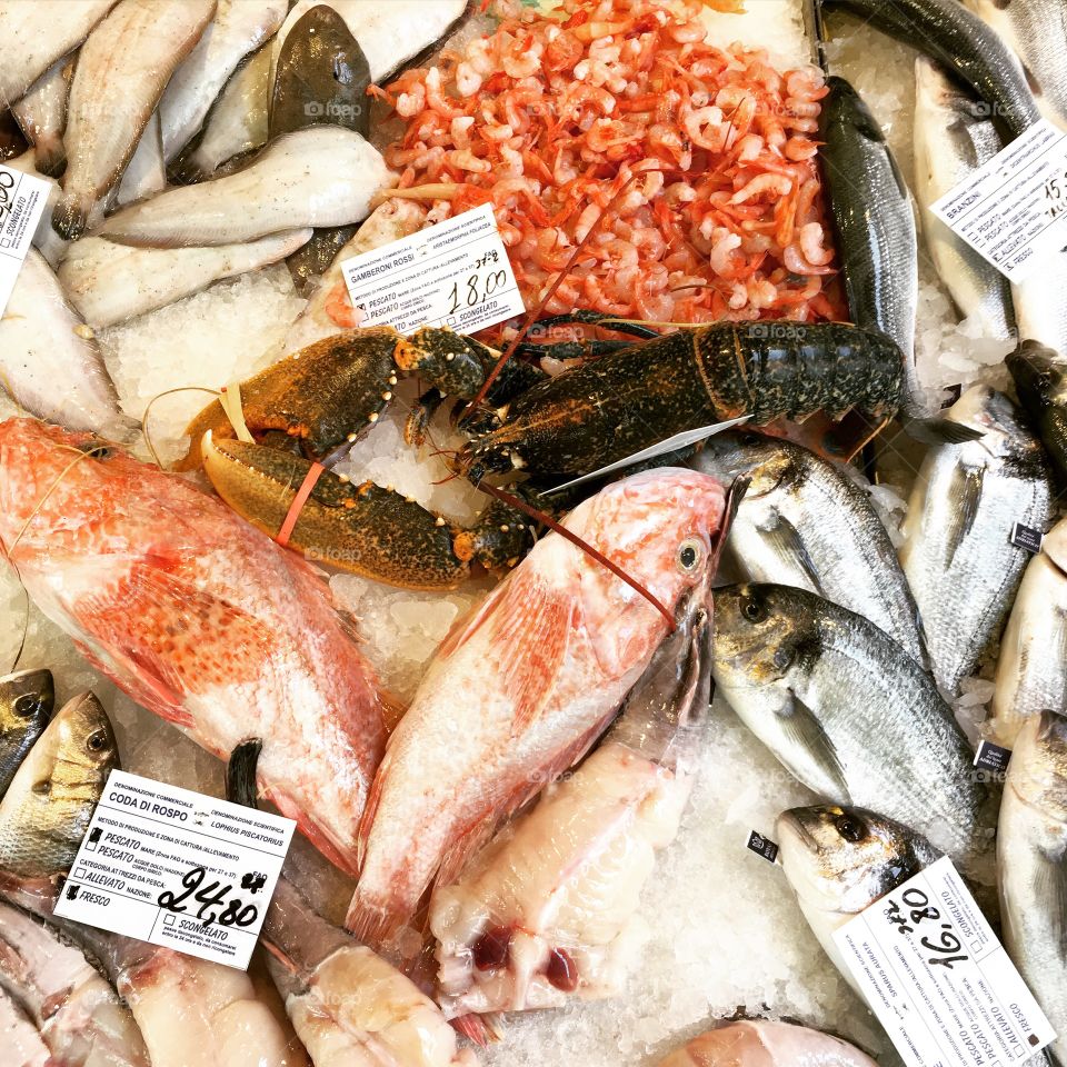 Fish and crustaceans at the fish market in Venice