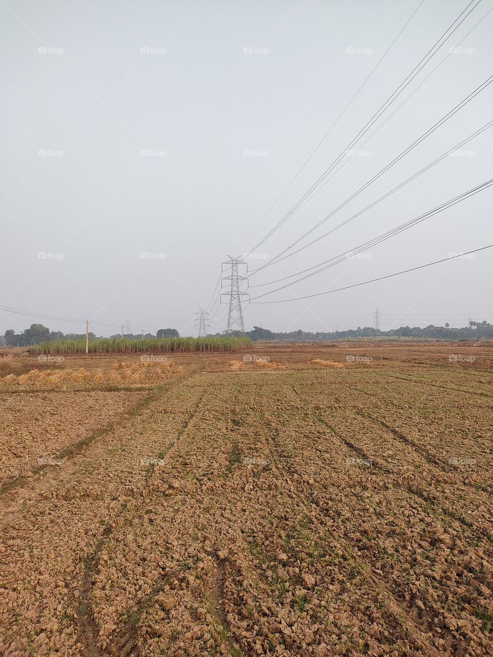 Electric wire passes over the fields.