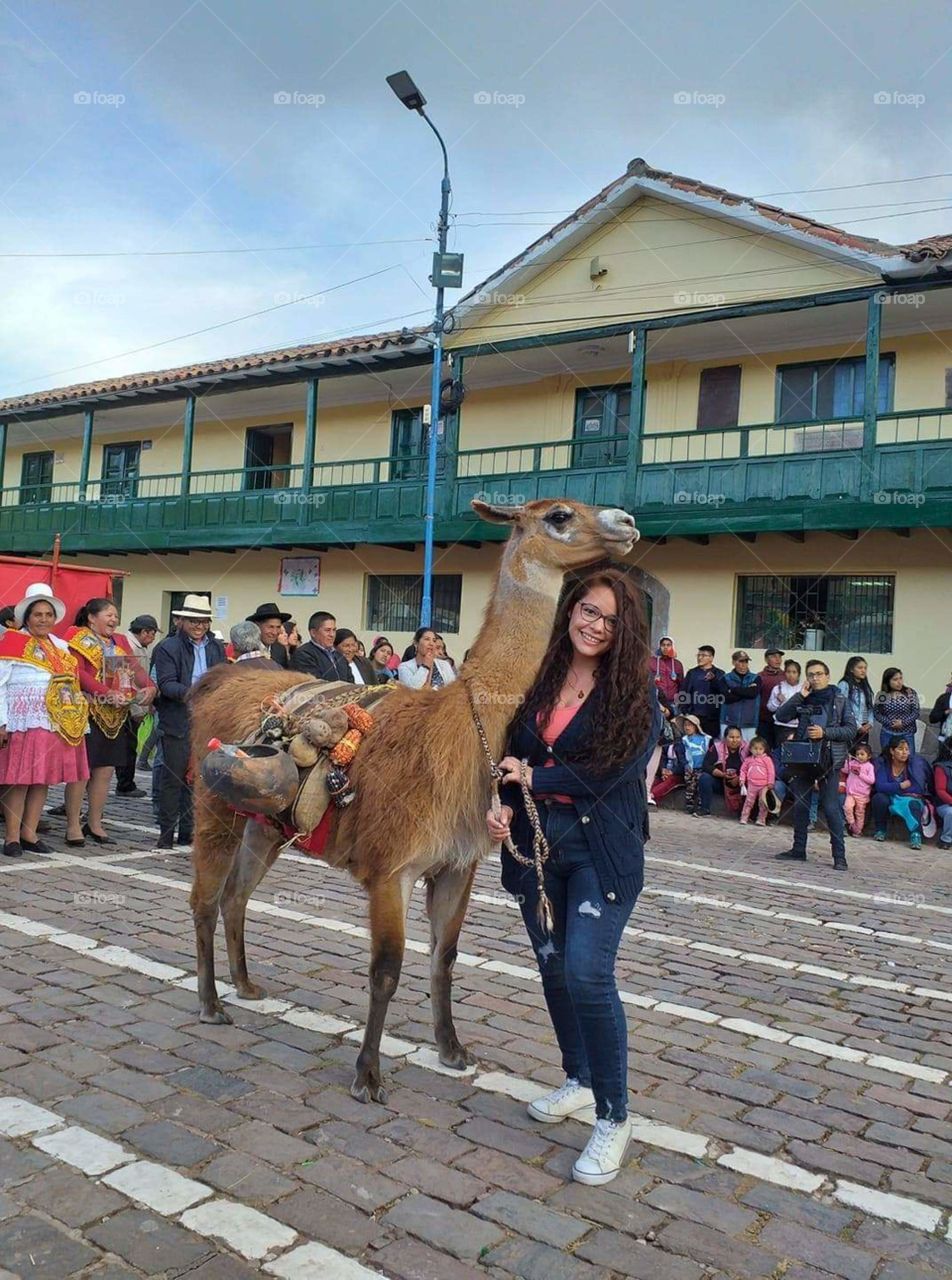 llama- Cusco