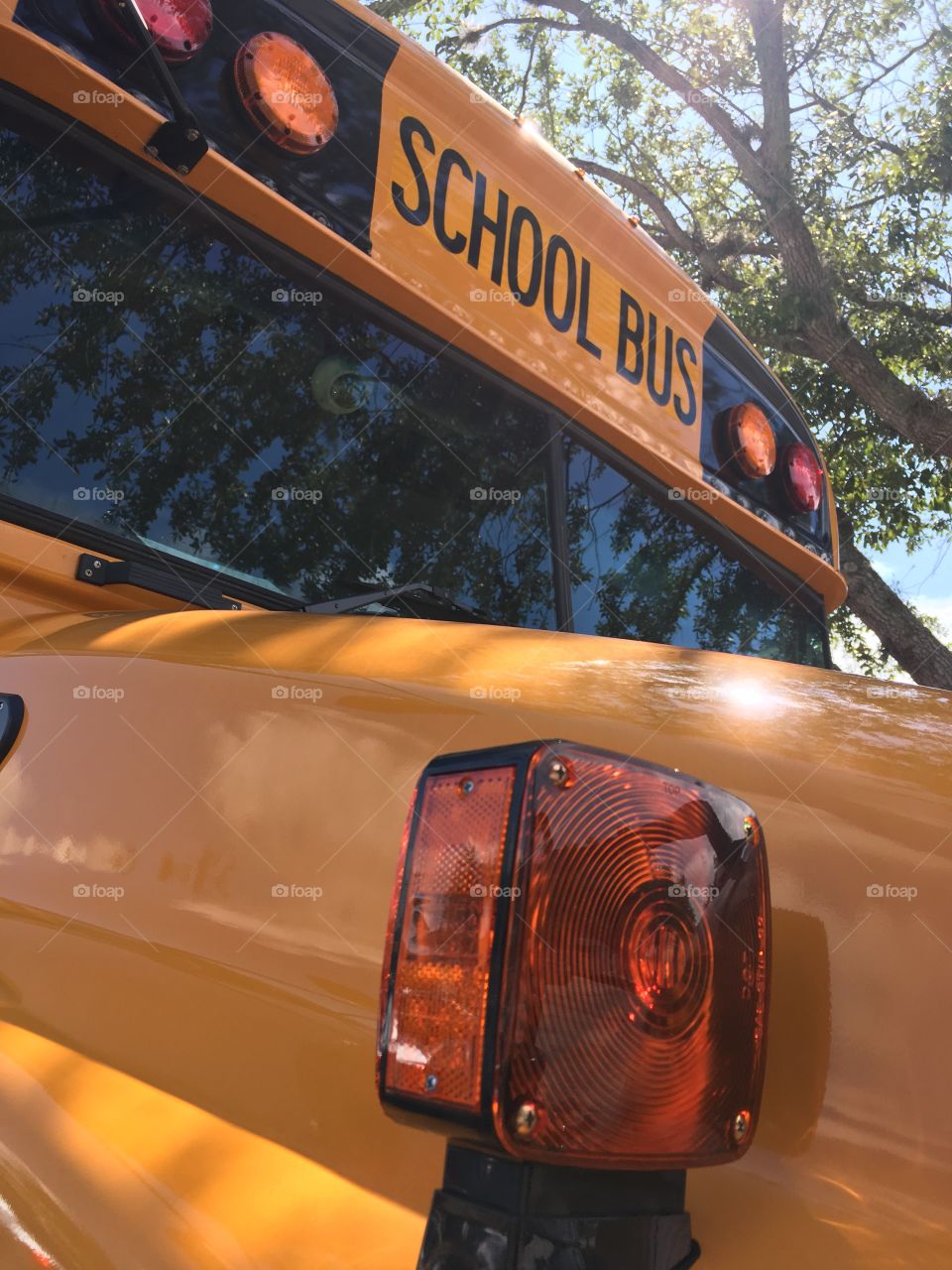 A-Z transportation Yellow School Bus in the Florida sunshine 