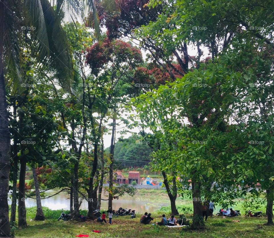 Picnic and fishing 