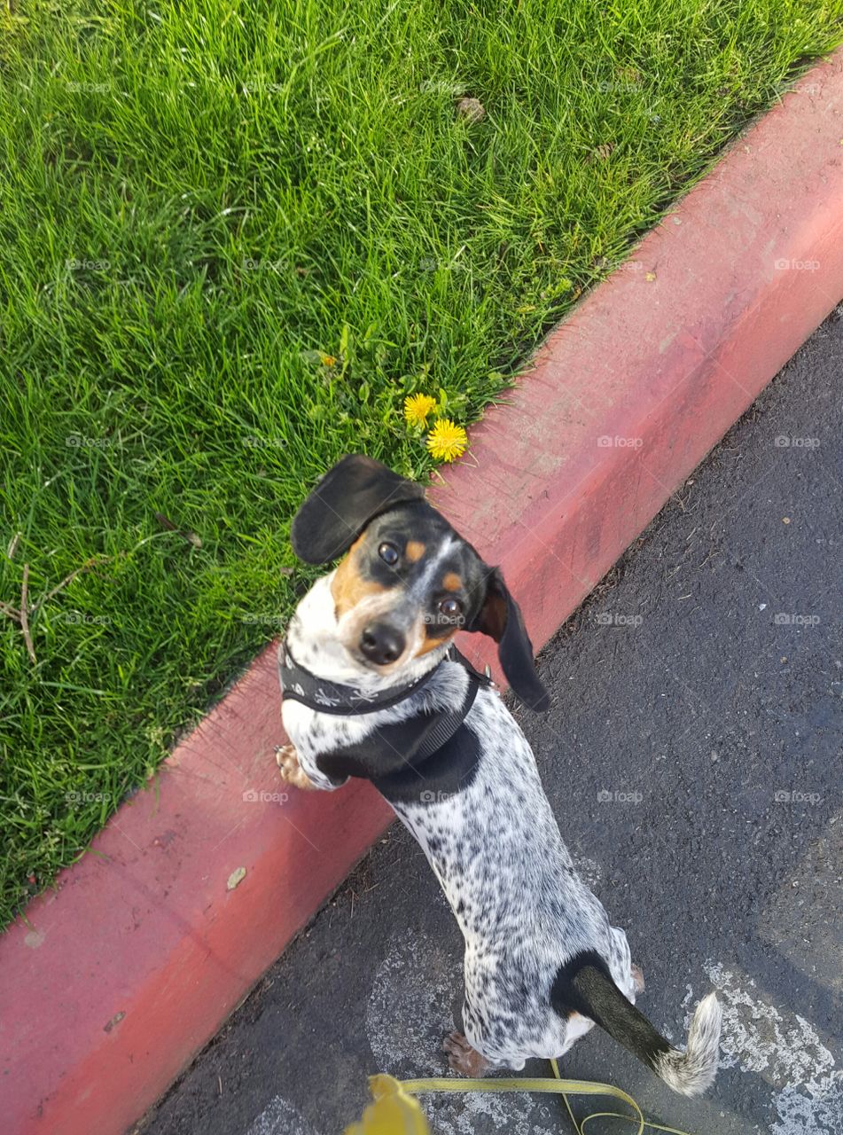 Sunny Friday afternoon walk