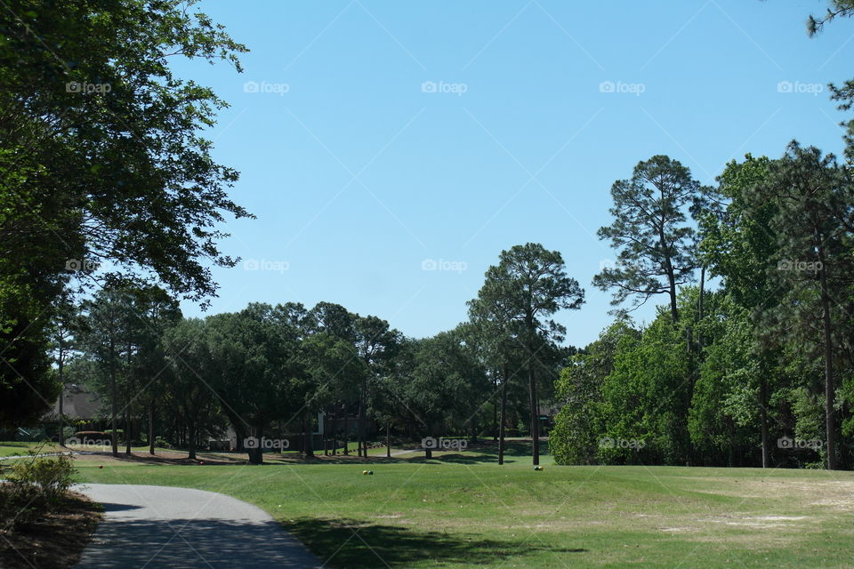 Golf course fairway 