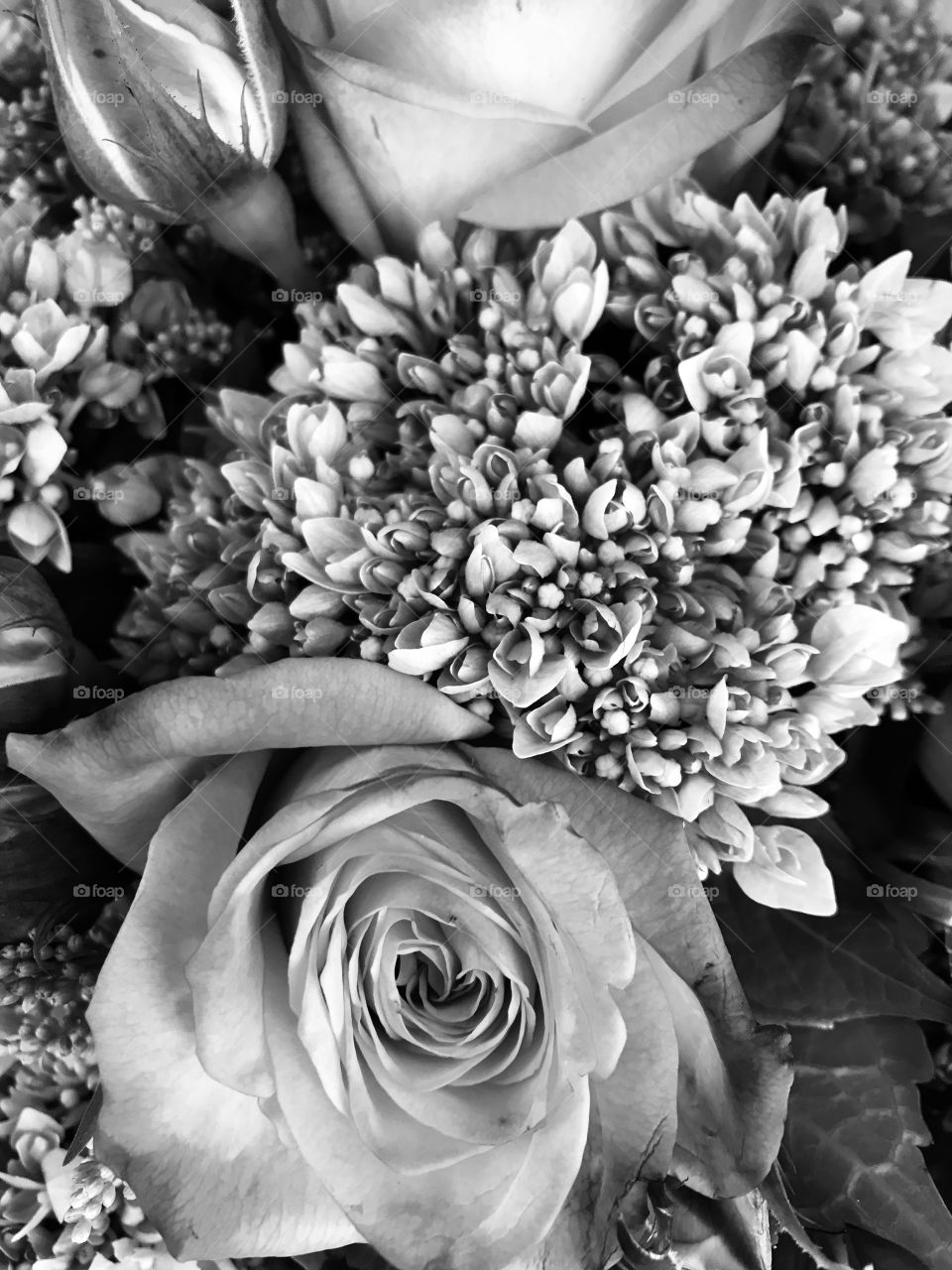 Flowers in black and white 