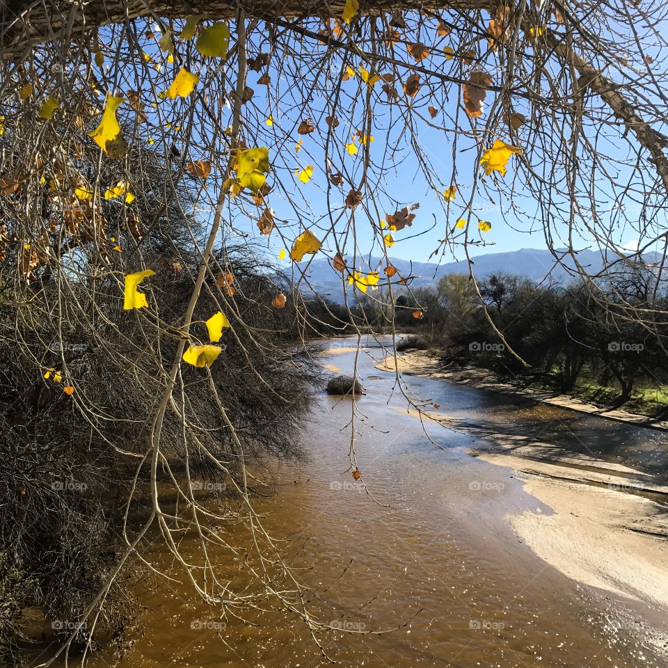 Fall Nature Landscape 