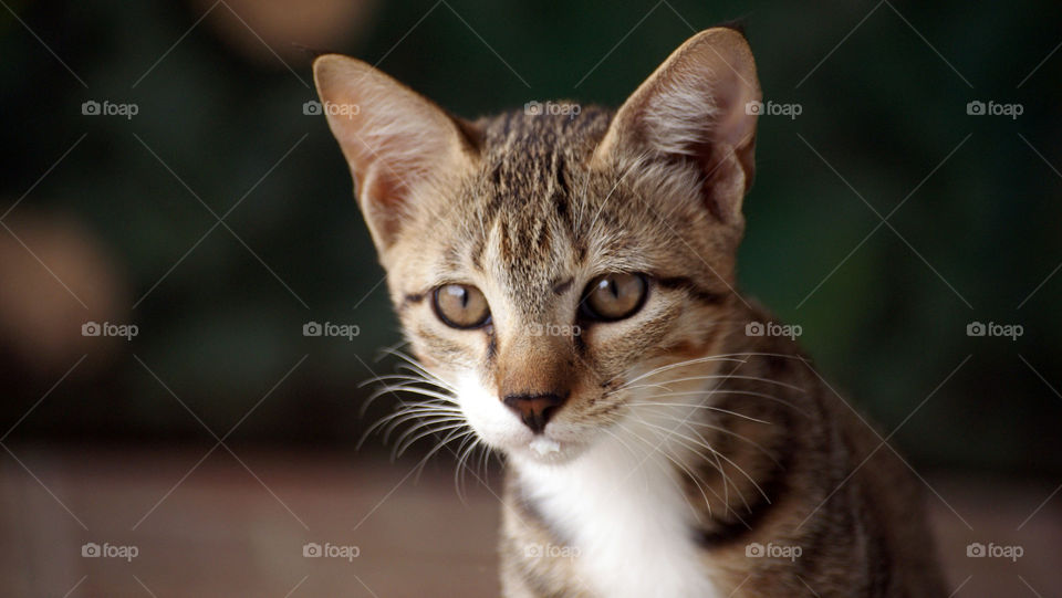 With my stomach full, I am ready to play with you.