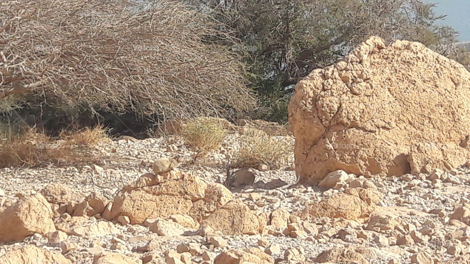 Rock, Nature, Desert, Dry, No Person