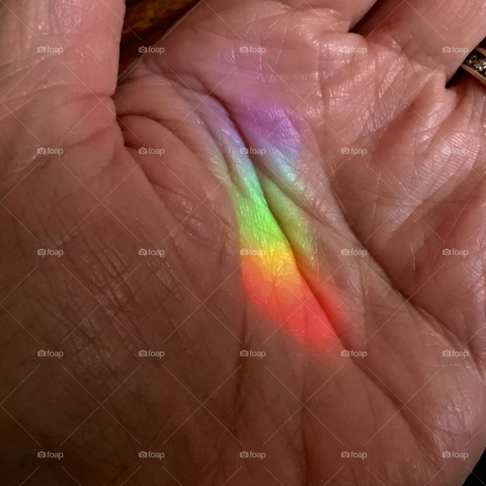 Catch A Rainbow🌈Before It Disappears 