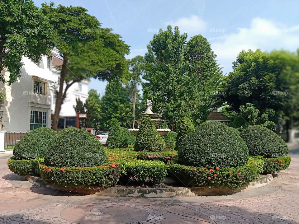 Garden in the village