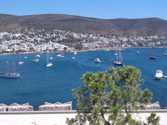 sea