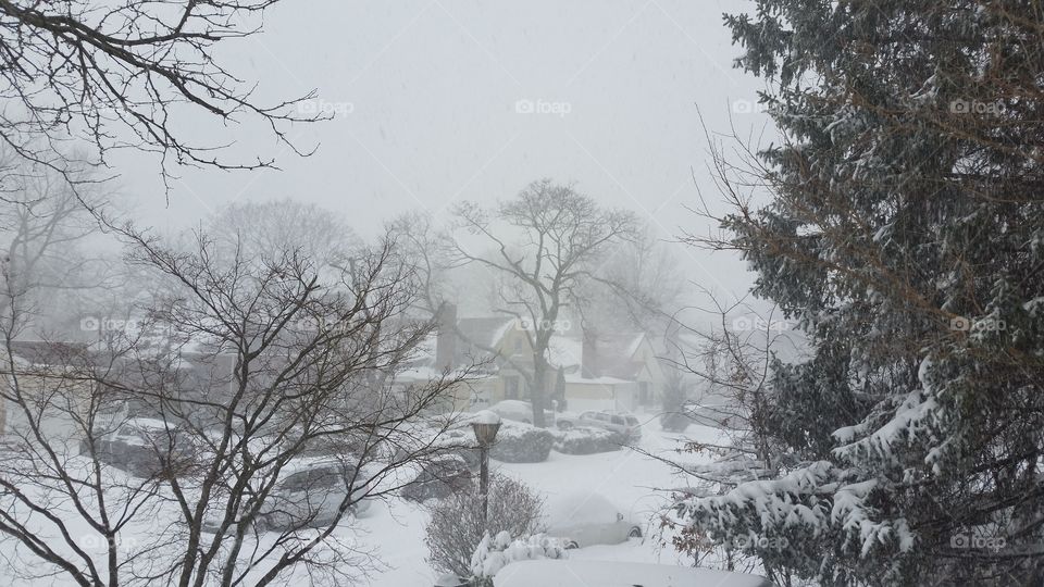 Snow storm