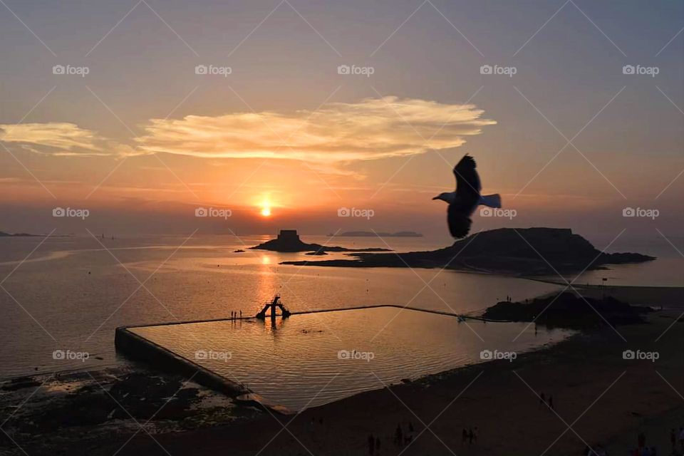 View of the Bon Secours beach in St Malo showing the mettalic diving platform in the sea and a bird flying by at sunset