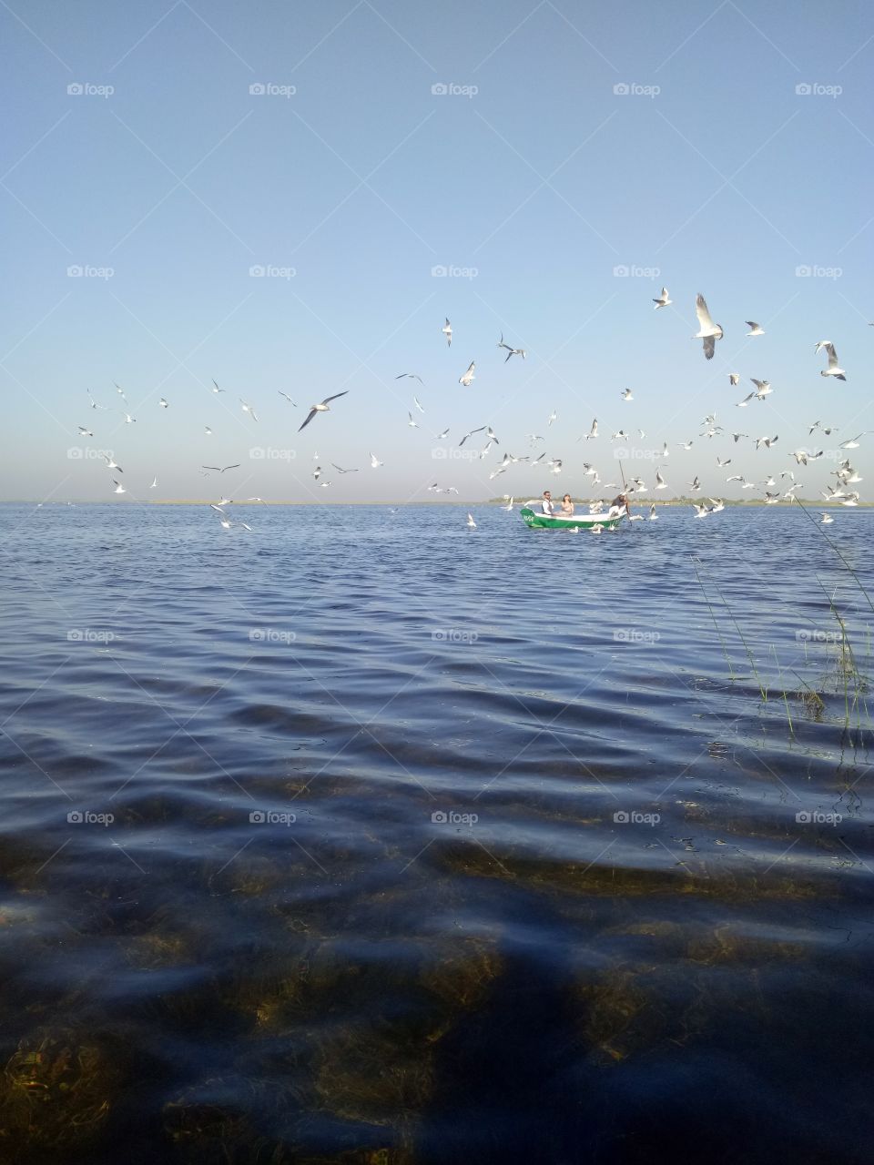 Boating with bird