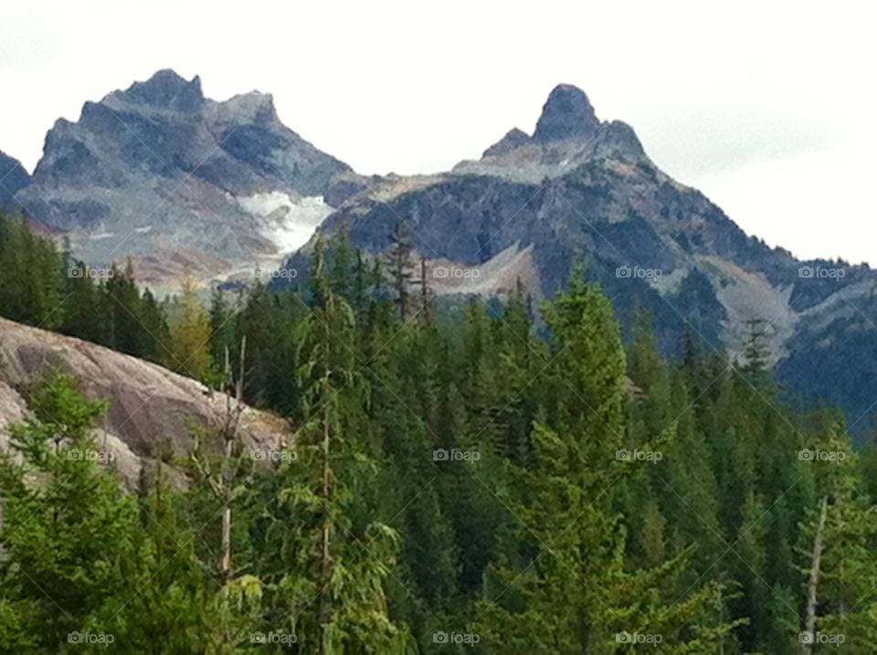 Forest views of Sky Pilot Mountain 