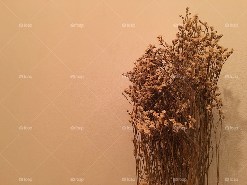 Dry to keep memories 