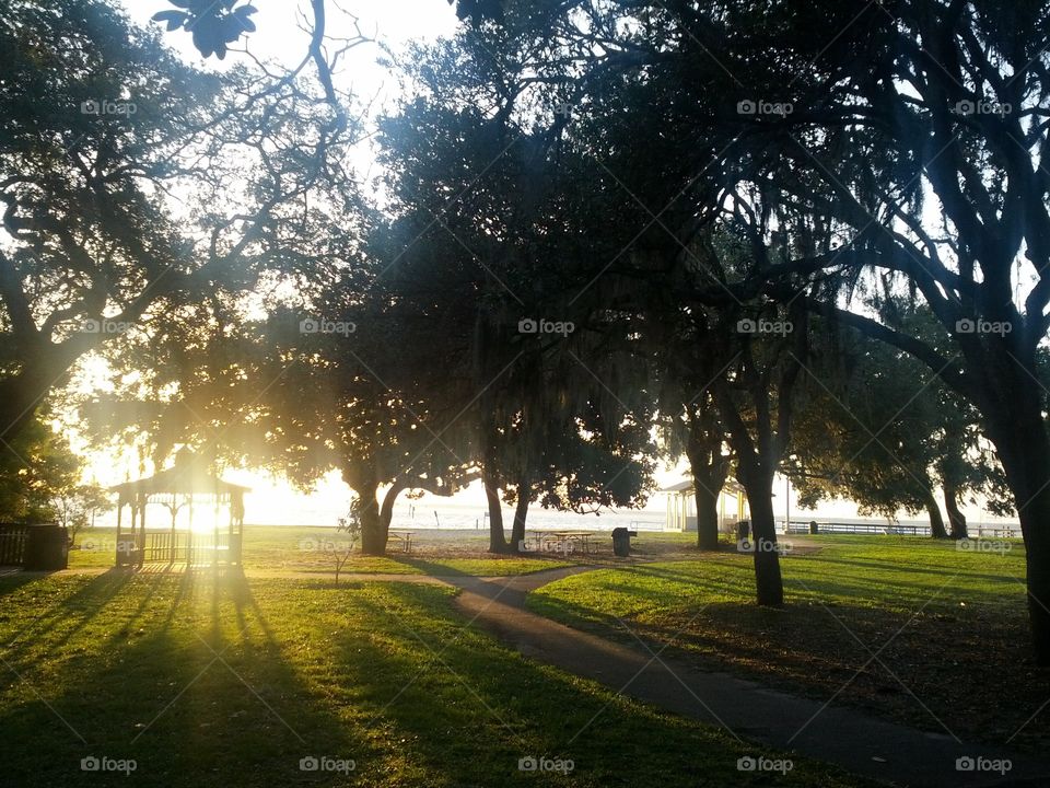 Sunset at the park