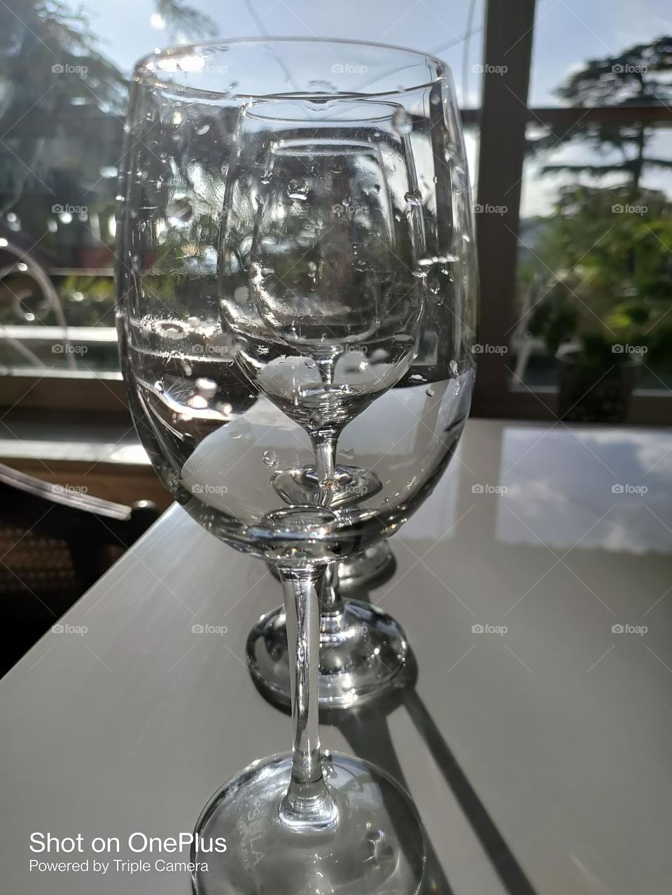 Editor's choice,photo of the week