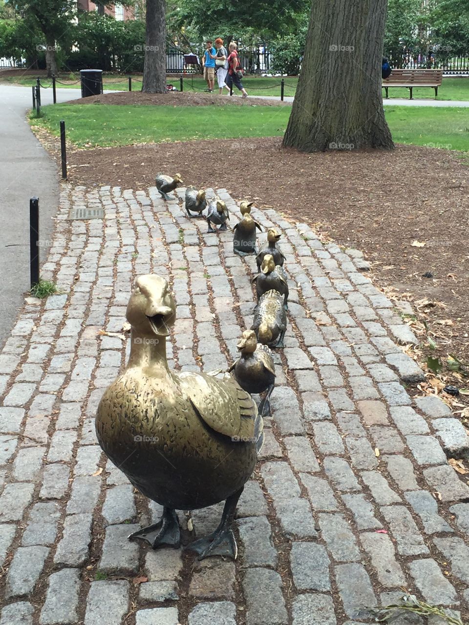 Make way for ducklings 