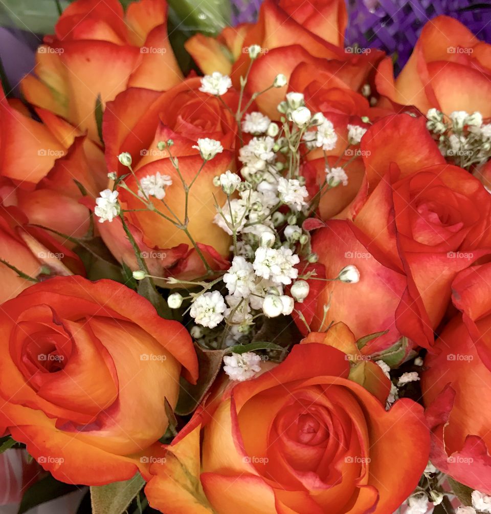 Bouquet of Orange Roses