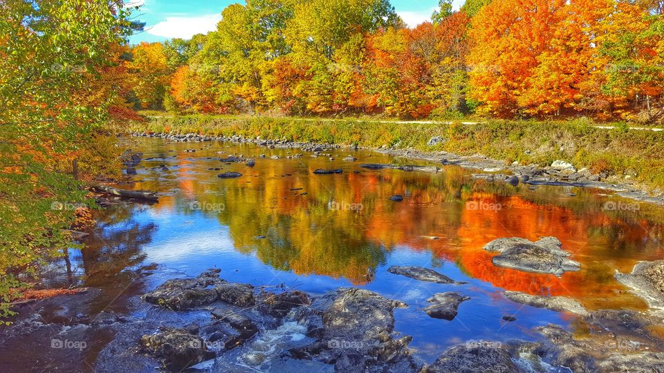 Autumn trees reflecting on lake