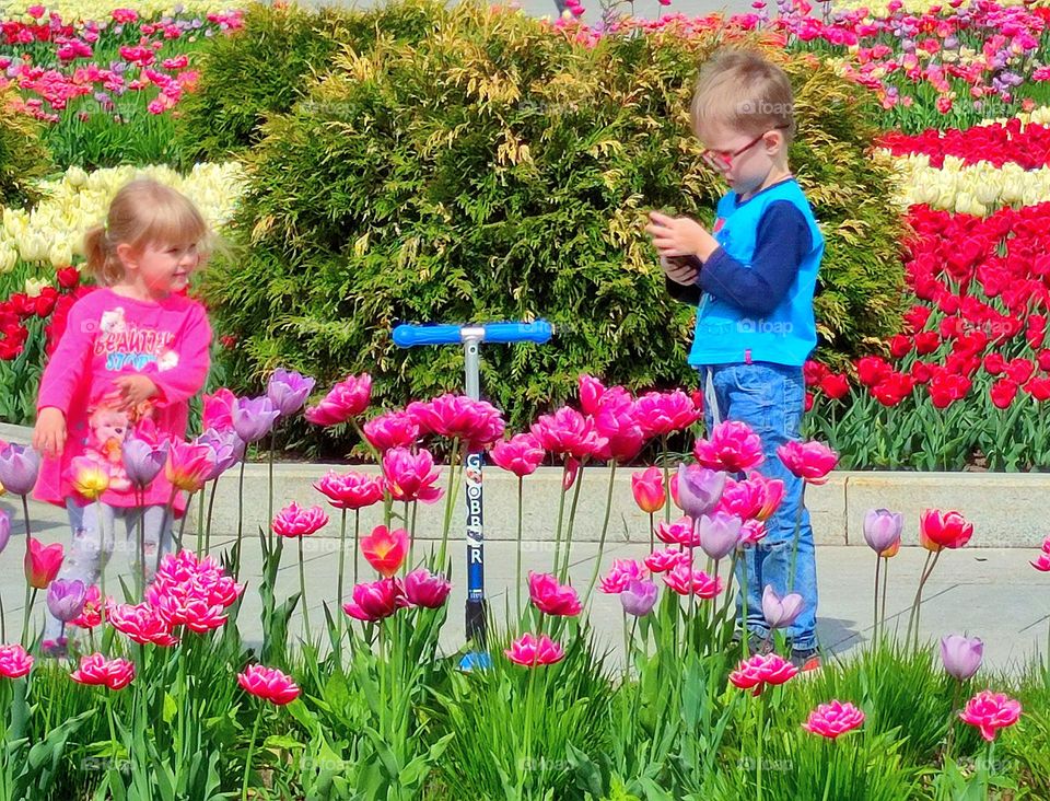 Spring. Among the tulips, a boy with a phone and a girl with a scooter