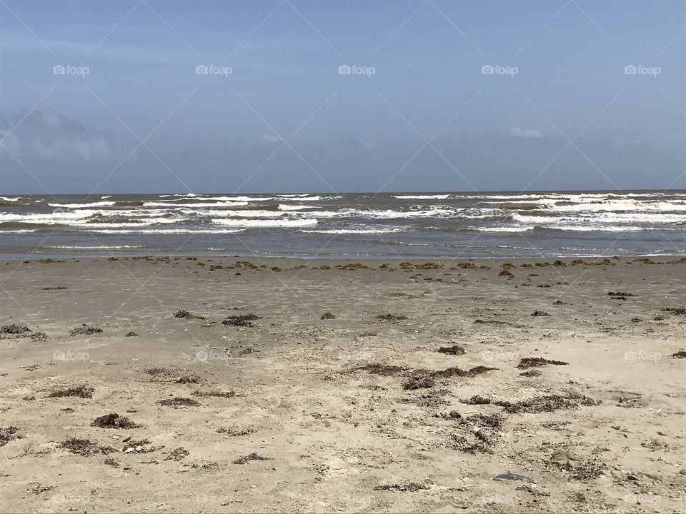 Galveston