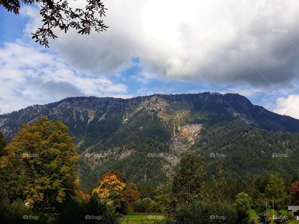 Loving the taste of freedom