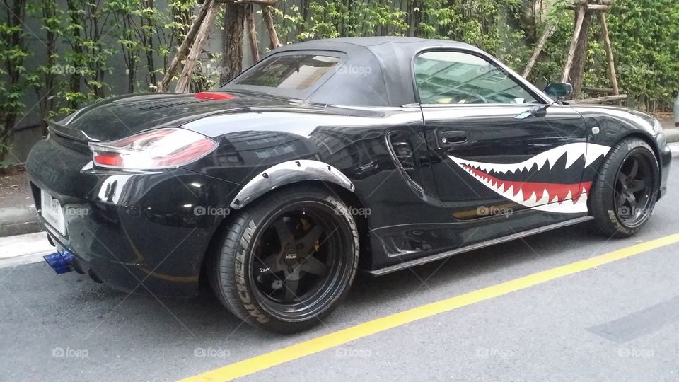Porsche - shark's