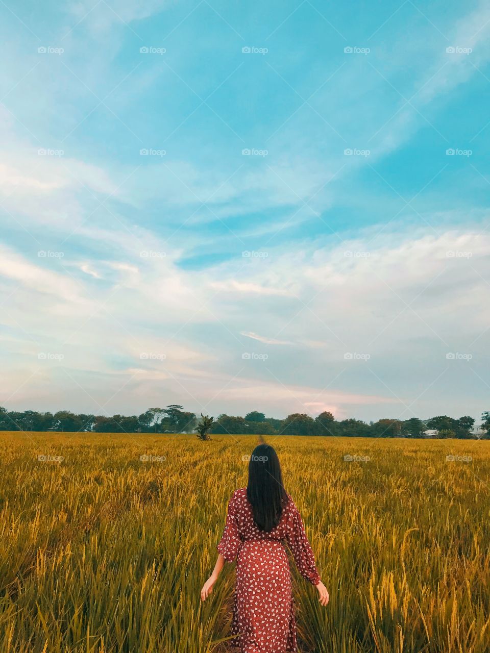 The lady in the beautiful rice fields 