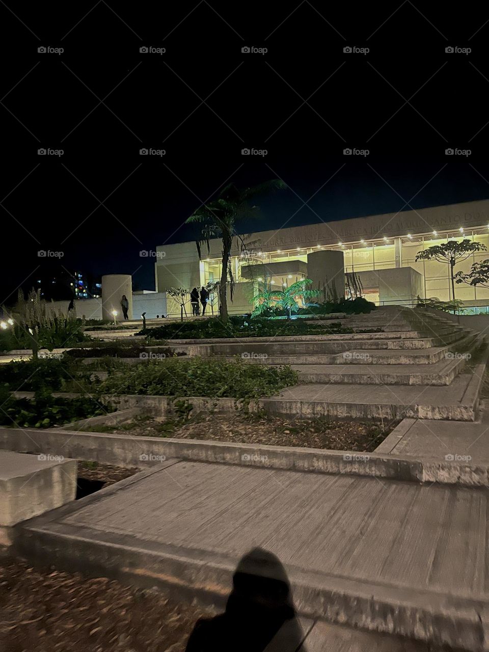 The library at night and a woman’s shadow 