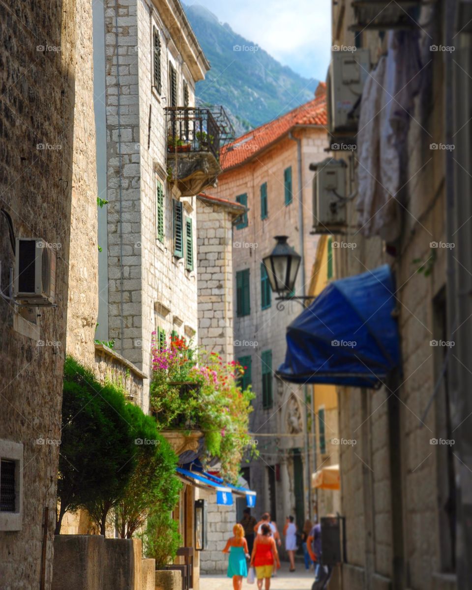 Kotor 