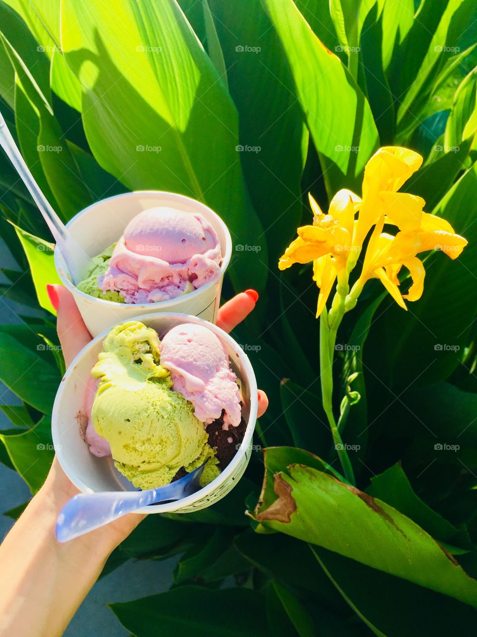 Bright photo of tasty icecream 🍦