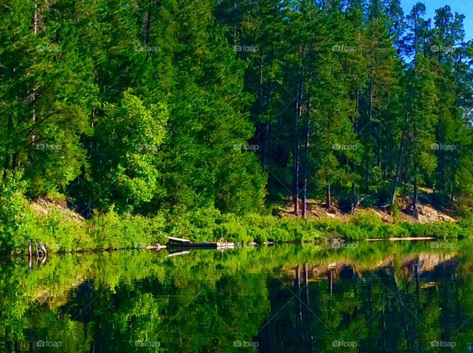 Beautiful reflection