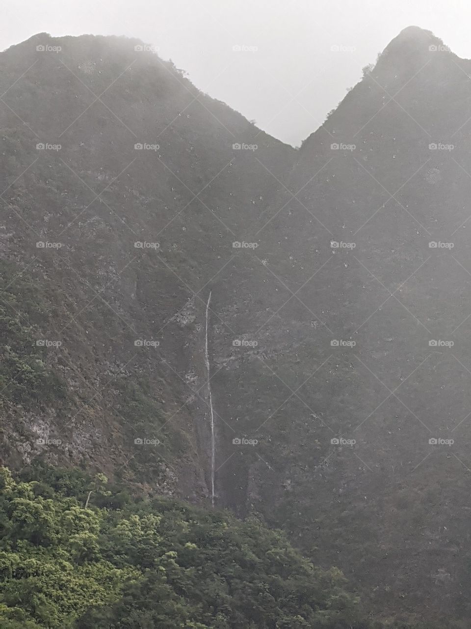 Hawaiian rain forest waterfall