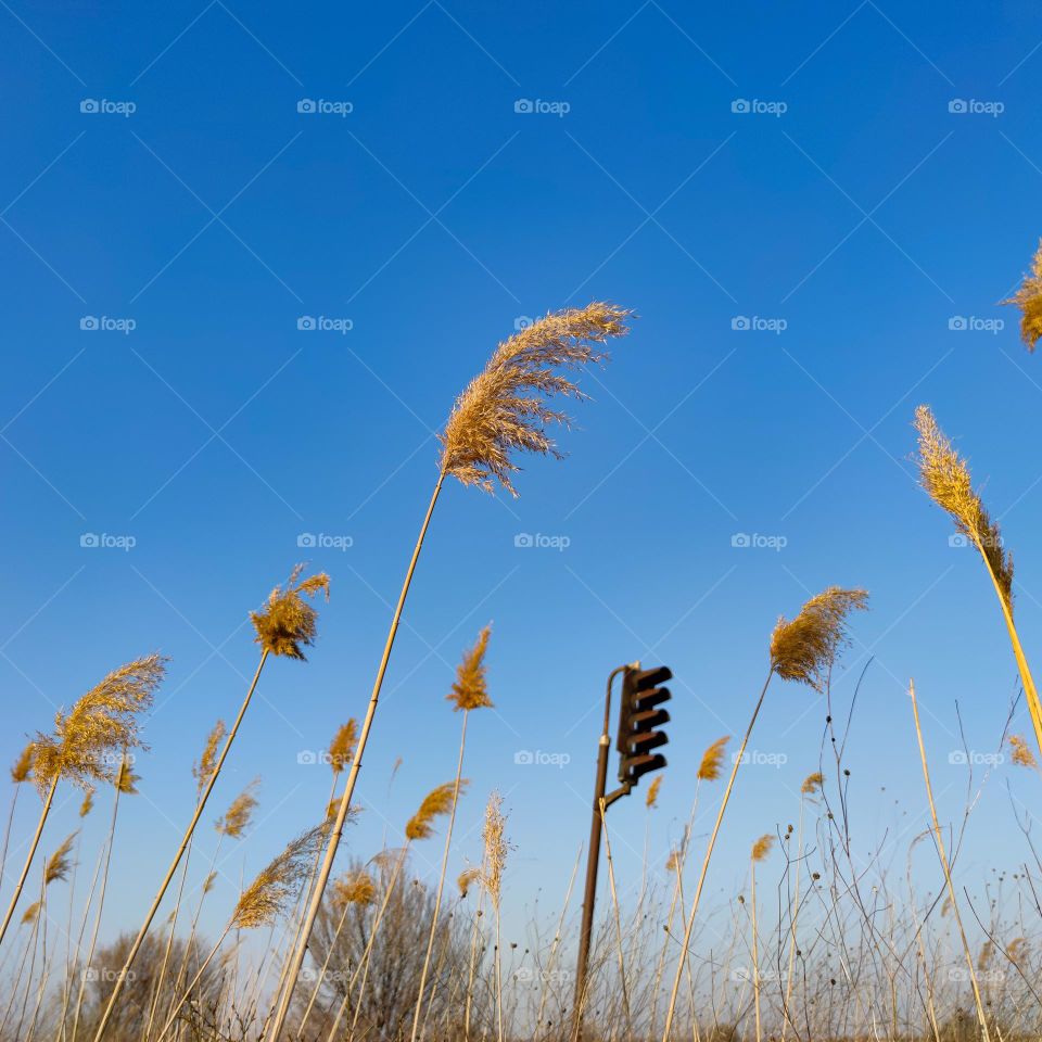 Abondoned semaphore in the middle of nowhere