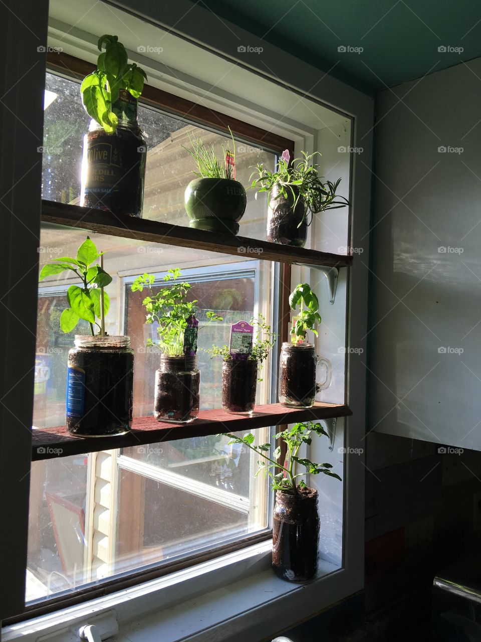 Diy indoor herb garden