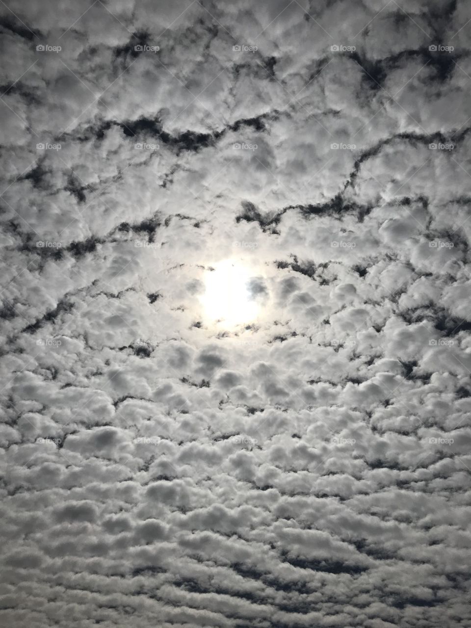 Puffy Clouds