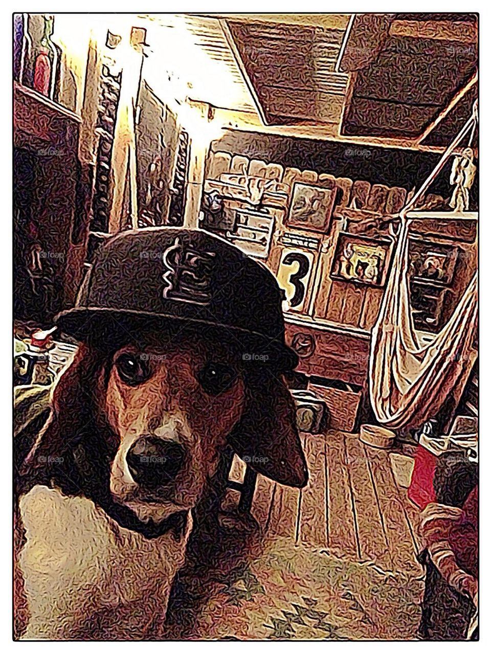 Gabe hanging down at the lake camp