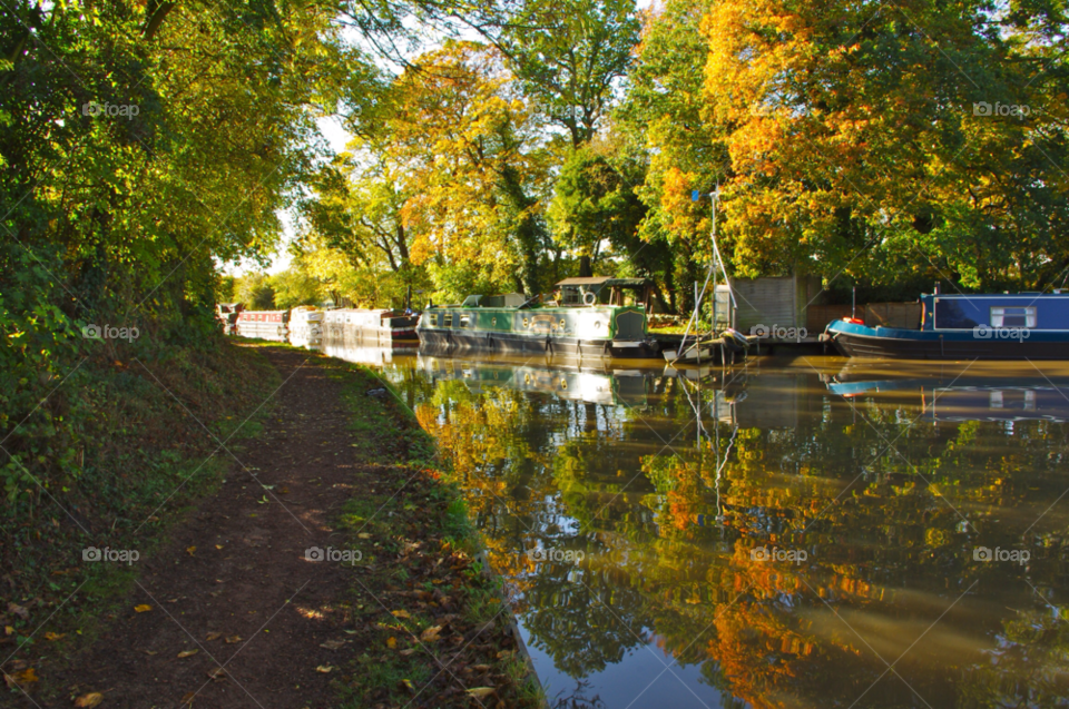 autumn reflection canal footpath by gaillewisbraznell