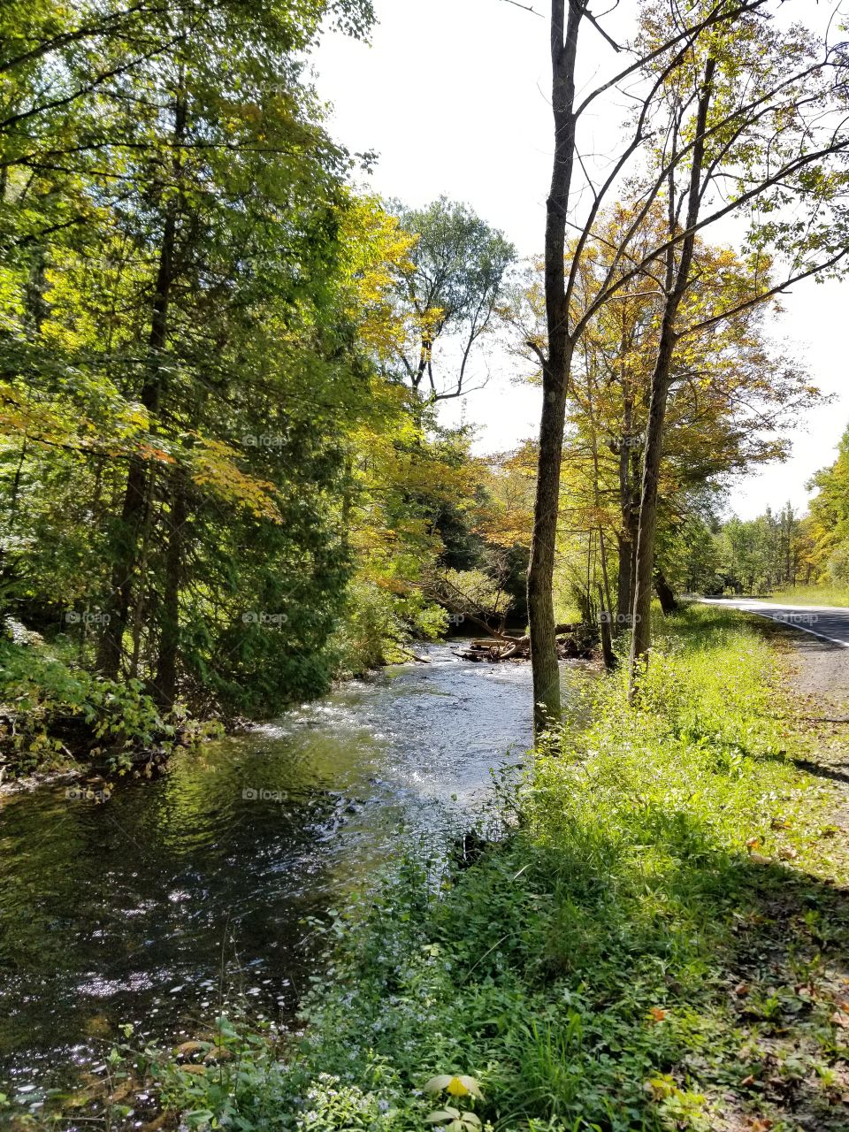 creek side