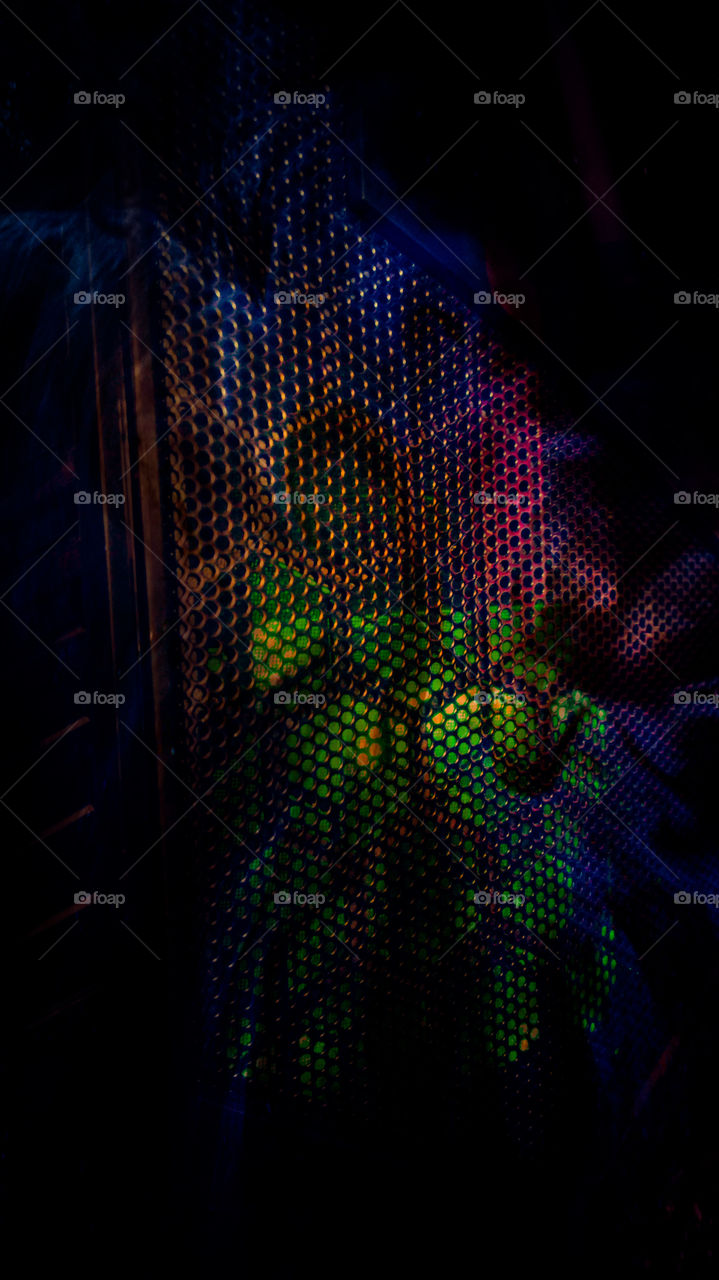 smartphone photos art design