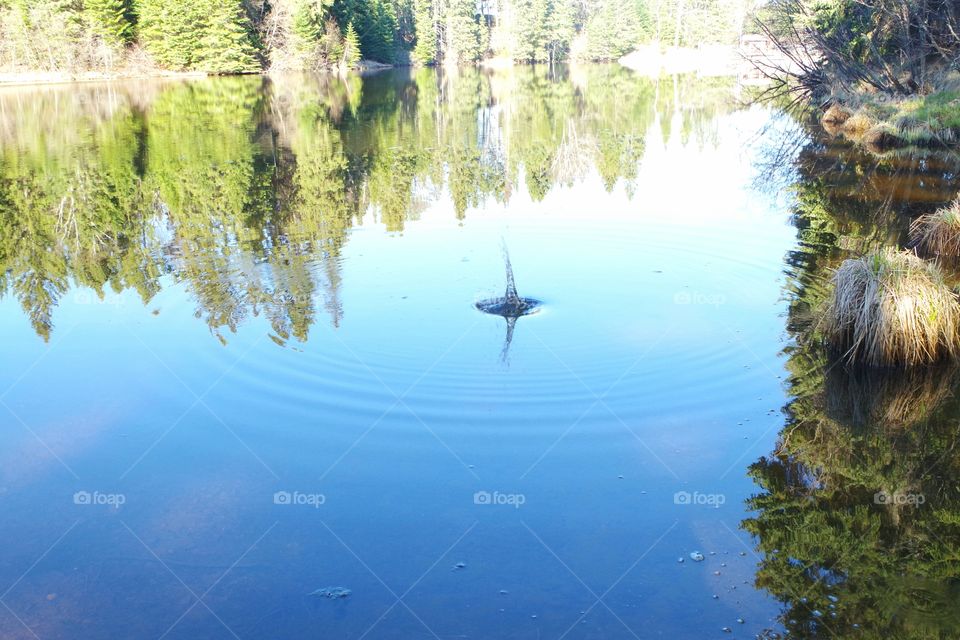 Water, Reflection, No Person, Lake, Nature