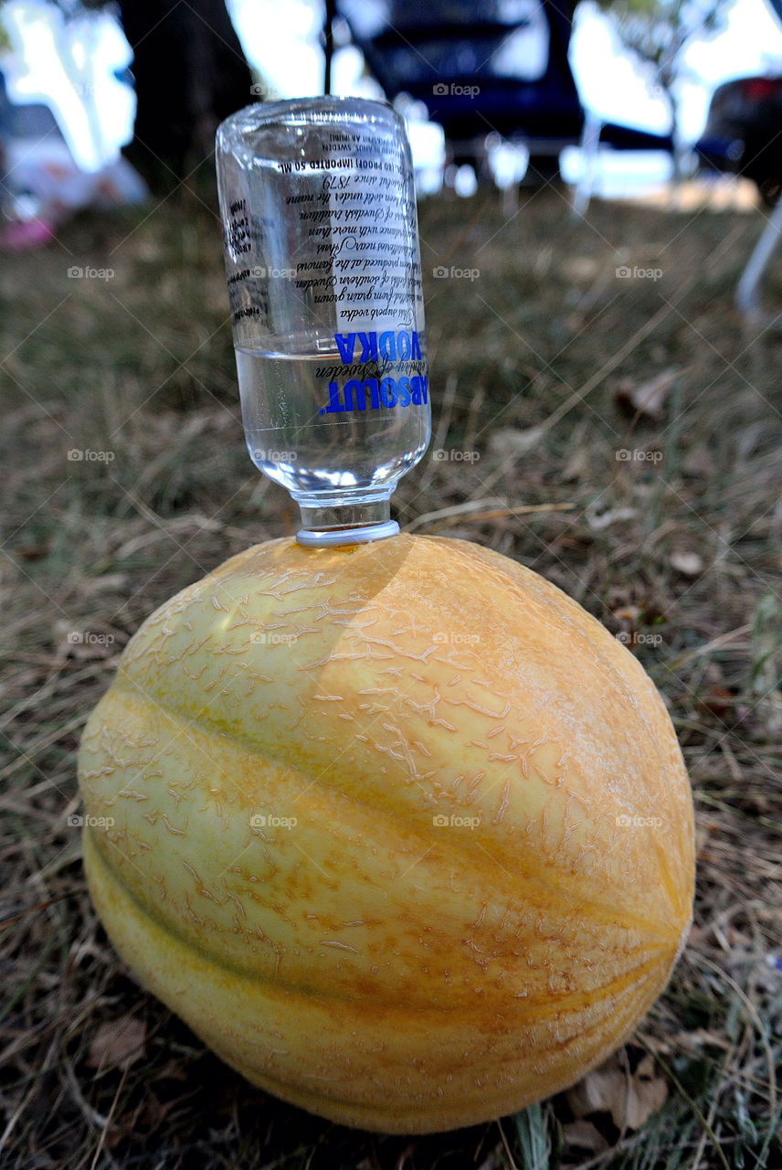 beach party outdoor grass by munda.net