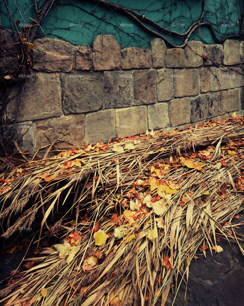 Dry leaves