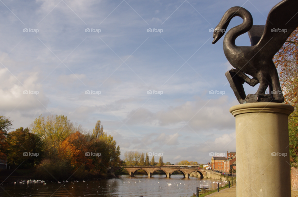 landscape river swans severn by gaillewisbraznell