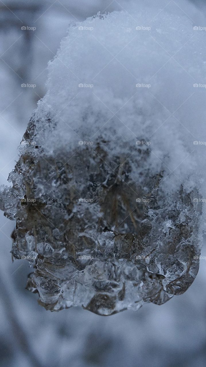 nature#winter#snow. Nature#winter#snow#ice