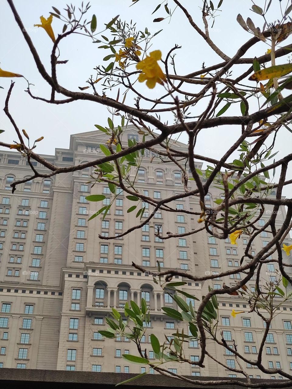 Mobile series: Architecture