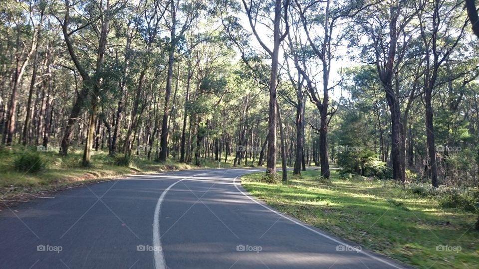 road through the Australian bush