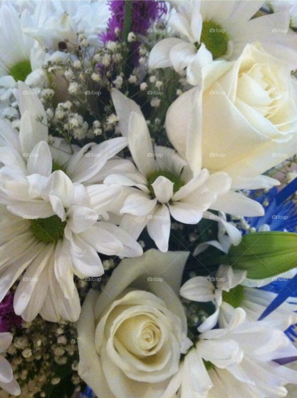 Flowers . Variety of white flowers with a dash of color 