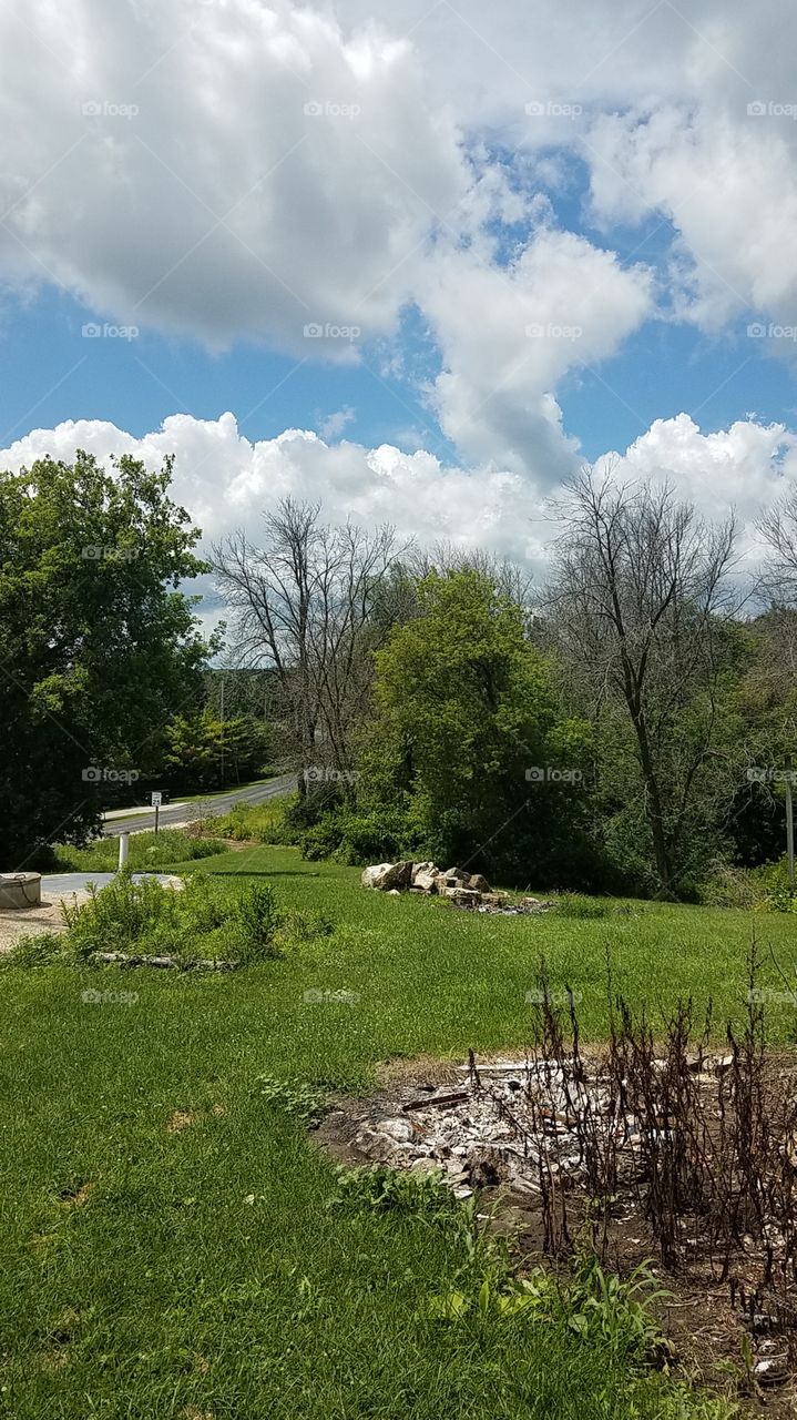 Summer in the Country